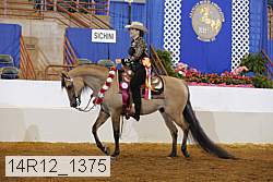 14r12_1375 thumbnail