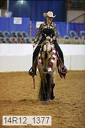 14r12_1377 thumbnail