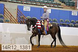 14r12_1381 thumbnail