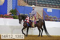 14r12_1382 thumbnail