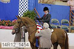 14r12_1454 thumbnail