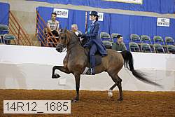 14r12_1685 thumbnail