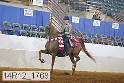 14r12_1768 thumbnail