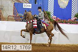 14r12_1769 thumbnail