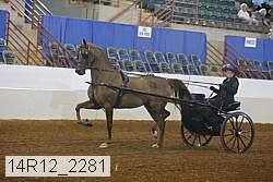14r12_2281 thumbnail