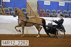 14r12_2282 thumbnail