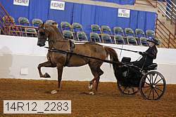 14r12_2283 thumbnail