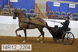 14r12_2284 thumbnail
