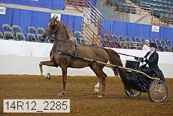 14r12_2285 thumbnail