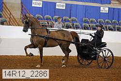 14r12_2286 thumbnail