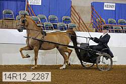 14r12_2287 thumbnail