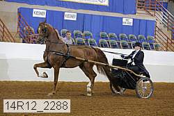 14r12_2288 thumbnail