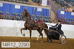 14r12_2290 thumbnail