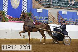 14r12_2291 thumbnail