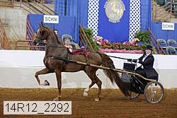 14r12_2292 thumbnail