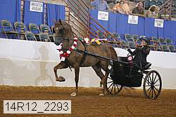 14r12_2293 thumbnail