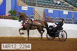 14r12_2294 thumbnail
