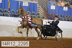 14r12_2295 thumbnail