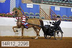 14r12_2296 thumbnail