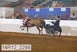 14r12_2299 thumbnail