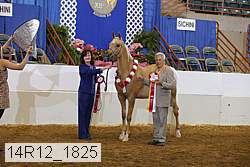 14r12_1825 thumbnail