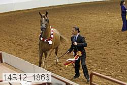 14r12_1866 thumbnail