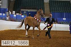 14r12_1868 thumbnail