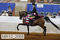 14r12_2068 thumbnail
