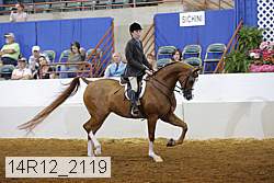 14r12_2119 thumbnail