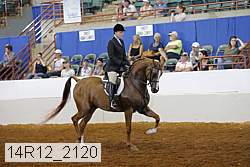 14r12_2120 thumbnail