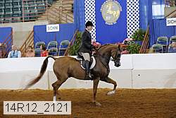 14r12_2121 thumbnail