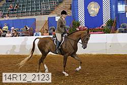 14r12_2123 thumbnail