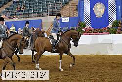 14r12_2124 thumbnail