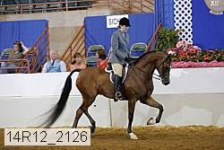 14r12_2126 thumbnail