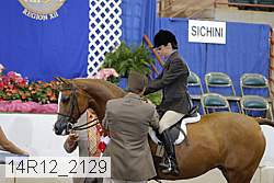 14r12_2129 thumbnail