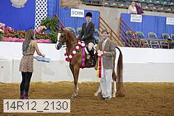 14r12_2130 thumbnail