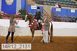 14r12_2131 thumbnail