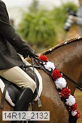 14r12_2132 thumbnail