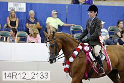 14r12_2133 thumbnail