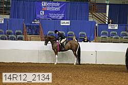14r12_2134 thumbnail