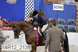 14r12_2136 thumbnail