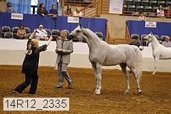 14r12_2335 thumbnail