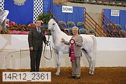 14r12_2361 thumbnail