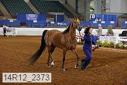 14r12_2373 thumbnail