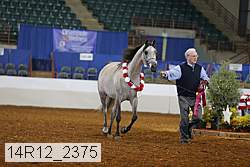 14r12_2375 thumbnail