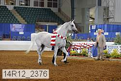 14r12_2376 thumbnail