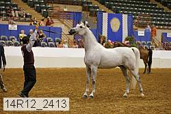 14r12_2413 thumbnail