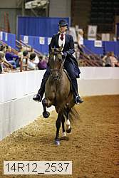14r12_2537 thumbnail