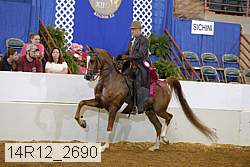 14r12_2690 thumbnail