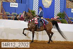 14r12_2702 thumbnail